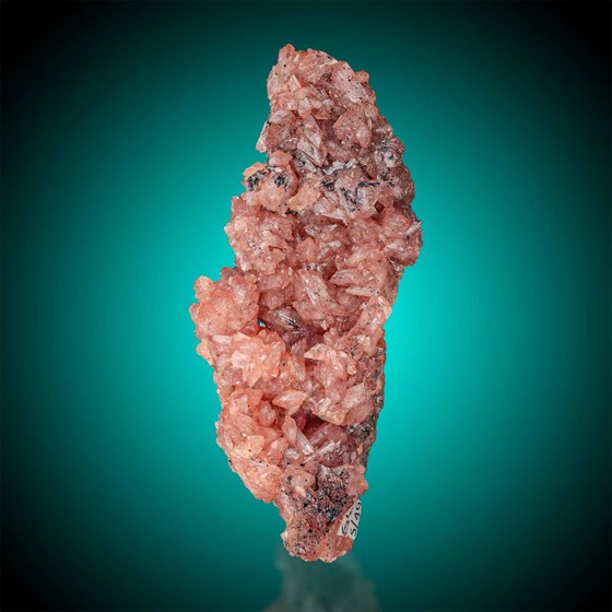 Hureaulite-Cigana Mine | Galiléia | Doce Valley | Minas Gerais | Brazil.